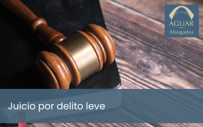 Juicio por delito leve