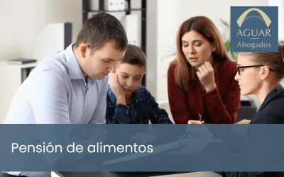 ¿Qué es la pensión de alimentos y cómo se calcula?
