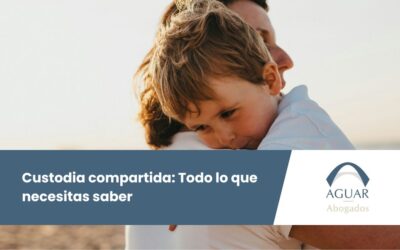 Custodia compartida: Todo lo que necesitas saber